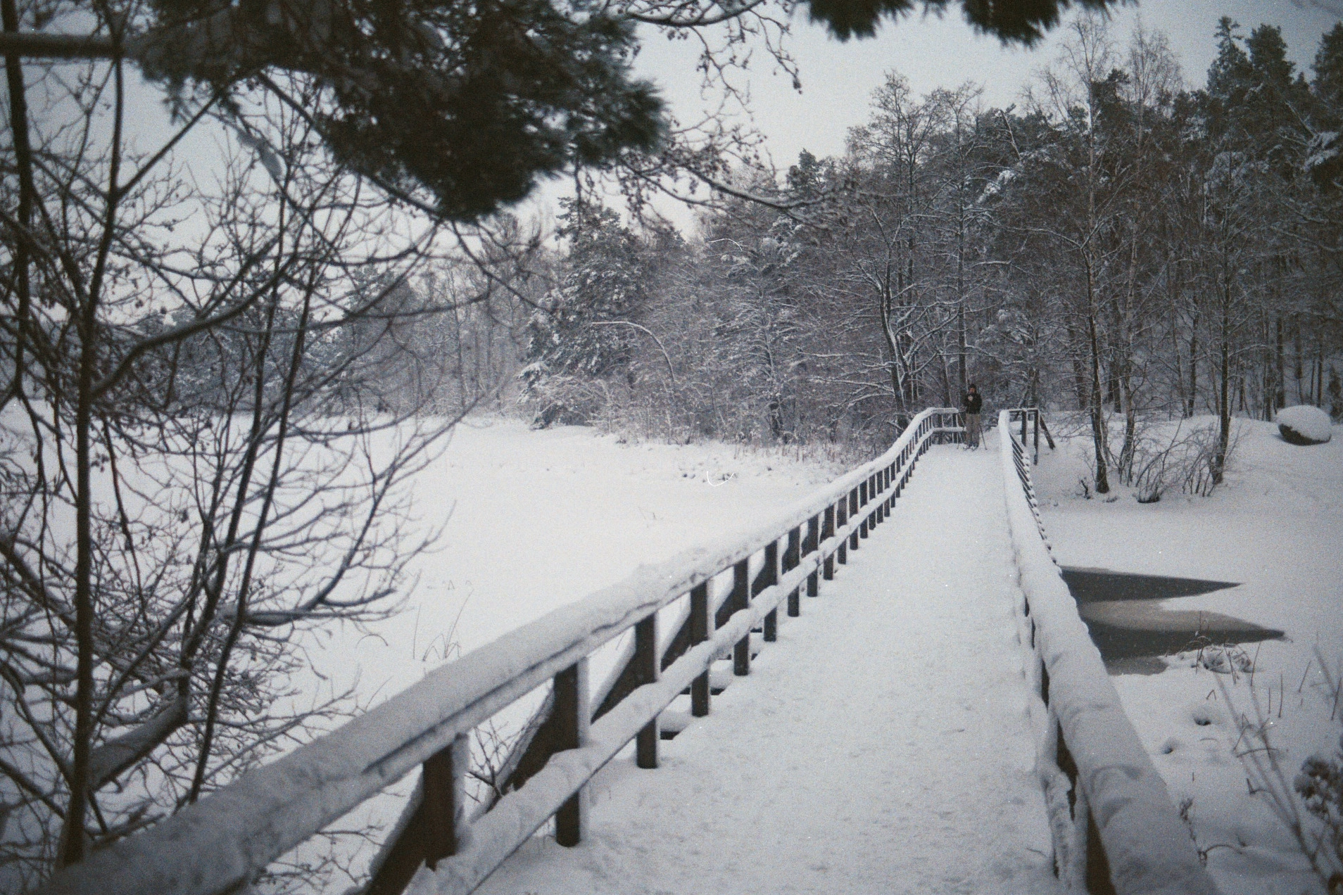Photo04 4