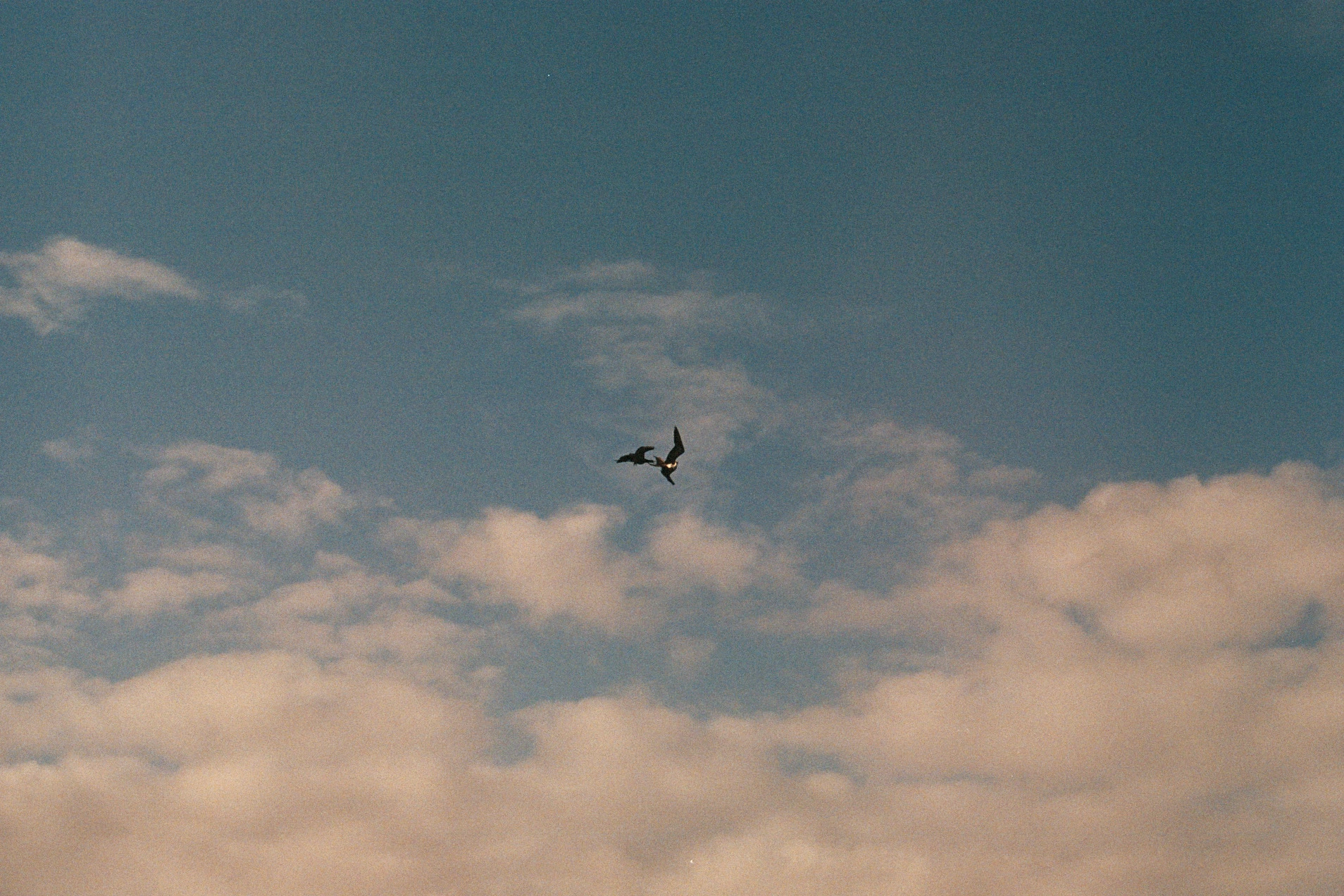 Photo05 6